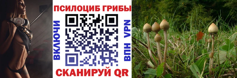 Псилоцибиновые грибы прущие грибы Кириши