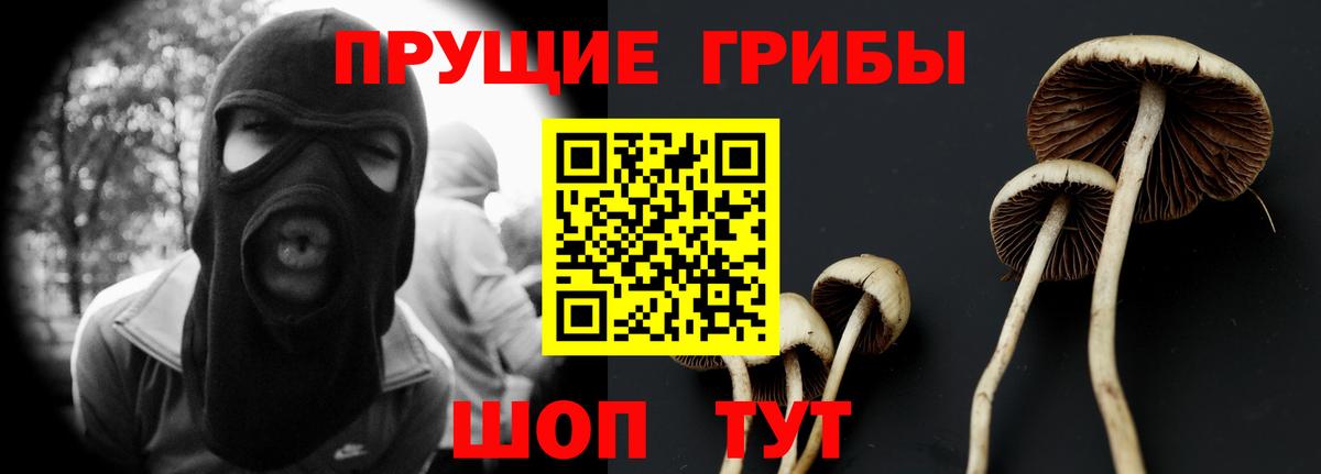 Галлюциногенные грибы Psilocybe  Псилоцибиновые грибы прущие грибы  Вход с VPN  Кириши 